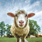 20190605160734_542119