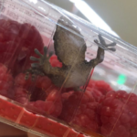 463434a45cf6b2a4b93f07dfbfe0b637