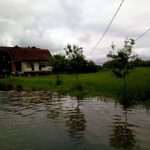 post_id_41799_img_nr_0