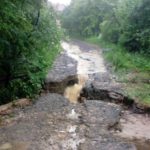 post_id_41948_img_nr_12