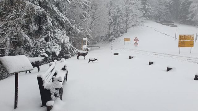 Kozara