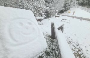 Danas i sutra osjetno hladnije, najviše snijega u centralnim i istočnim dijelovima BiH