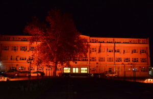 Počinje globalna kampanja ” 16 dana aktivizma u borbi protiv rodno zasnovanog nasilja”