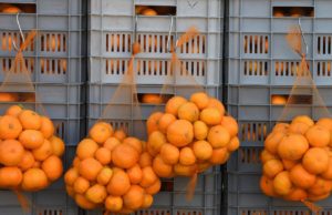 U mandarinama iz Hrvatske otkriven zabranjeni pesticid, posebno opasan za djecu