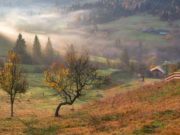 Šta jesen donosi poljoprivrednicima: Uz kišu, stižu i poljski miševi i biljne štetočine