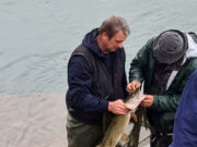 Krajem mjeseca varaličarski kup Grada Prijedora