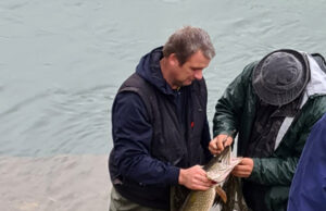 Krajem mjeseca varaličarski kup Grada Prijedora