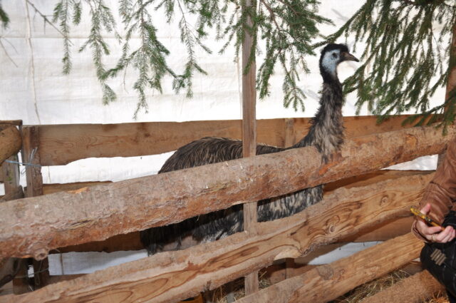 19140_DSC_0029_resize