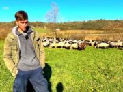 Mladi pastir uživa sa ovcama: Molili ga da upiše fakultet, ali nije htio