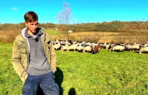 Mladi pastir uživa sa ovcama: Molili ga da upiše fakultet, ali nije htio