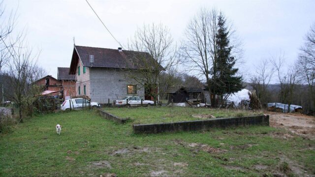 Zecovi-3-e1683904823697