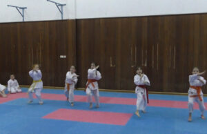 Mladi sanski karatisti stekli nova zvanja