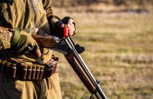 Uhvaćeni u krivolovu