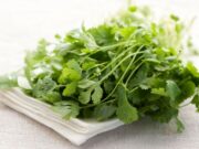 Korisna biljka: Poboljšava probavu, ublažava stomačne probleme, a u kuhinji nezamjenjiv začin