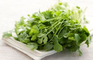 Korisna biljka: Poboljšava probavu, ublažava stomačne probleme, a u kuhinji nezamjenjiv začin