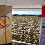 IMG-b42e74419f067fd0286a9a2969ec0528-V