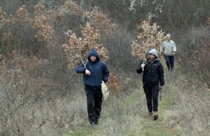 Danas je za pravoslavne vjernike Badnji dan: Ovo su običaji uoči Božića