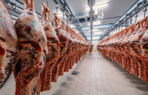 Domaći farmeri ne mogu da podmire potrebe bh. stanovnika