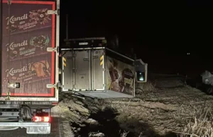 Prevrnuo se kamion kod Novog