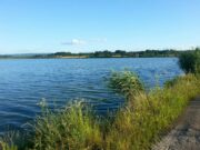 Prnjavorski ribnjak ostao bez ribe, radnici rade bez plata