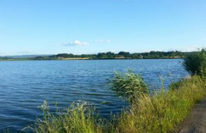 Prnjavorski ribnjak ostao bez ribe, radnici rade bez plata