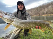 U rijeci Sani ulovljeni kapitalni primjerici