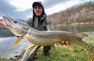 U rijeci Sani ulovljeni kapitalni primjerici