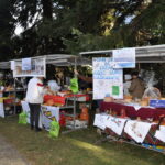 19440_DSC_0034_resize