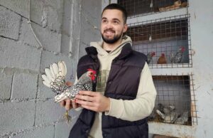Sanski Most: Amir Kazić uzgaja pernate šampione (FOTO)