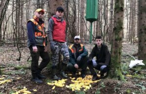 Sana: Lovci prehranjuju divljač i prave hajku na opasnog predatora