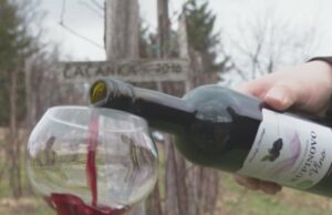 Crnobrnja jedan od najmlađih samostalnih proizvođača vina i sokova u Srpskoj (VIDEO)