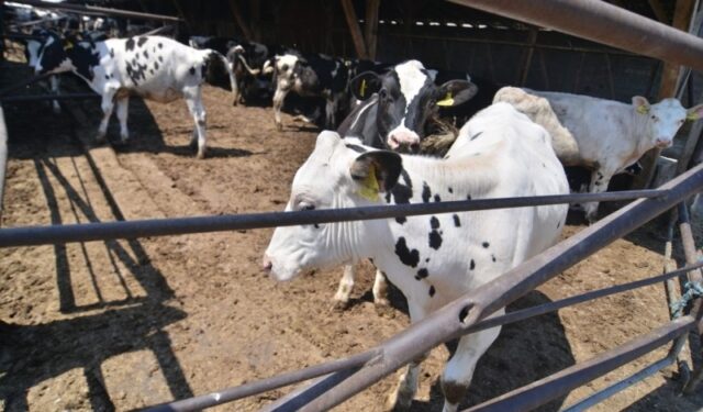 c7fb660116c9abfb63875d07a0eb05ab