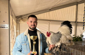 Ukrasnom živinom do državnog šampiona