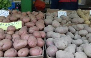 Glamočki krompir dobija “ličnu kartu”
