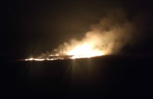 Sanskim šumama već priprijetili požari