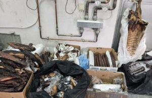 Na graničnom prijelazu Srbije i Mađarske zaplijenjeno 200 kg suhog mesa