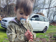Osumnjičeni priznao da je zadavio Danku, drugi se brani šutnjom i odbija da sarađuje
