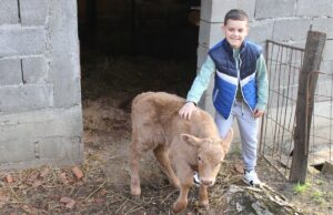 Čim dođe iz škole, prvo trči u štalu