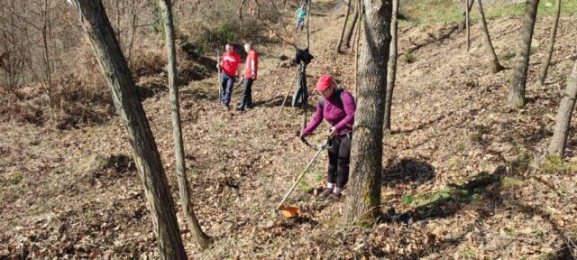 IMG-83ea24c9e2bbae80590d5232b8bcdd7a-V