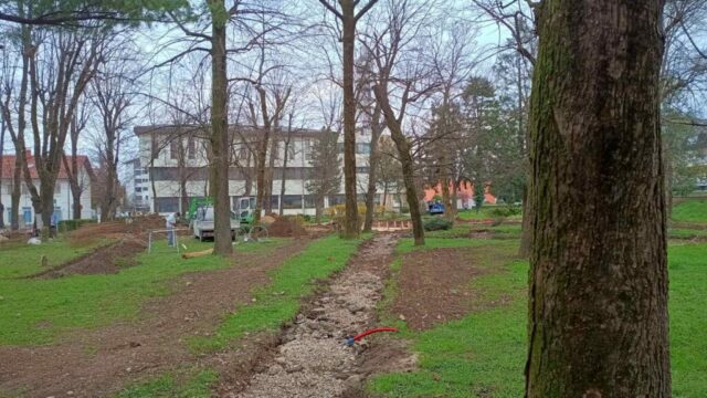 IMG-b881ce7dc1f17608e09da9e90f3b610b-V-1024x576