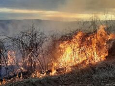 Kazne do 1.000 KM za paljenje korova bez najave