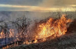 Prijedorski vatrogasci pozivaju na oprez prilikom paljenja vatre na otvorenom