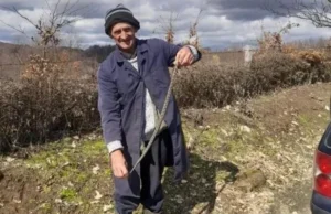 Prijedorčanin na njivi naletio na dva poskoka – poranili su