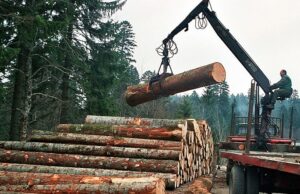 Lugar nesavjesnim radom oštetio nacionalni park