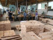 Godišnji izvoz premašio 100 miliona eura: Gradiška, grad drveta