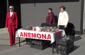 Humanitarna akcija “Anemone” na trgu u Prijedoru