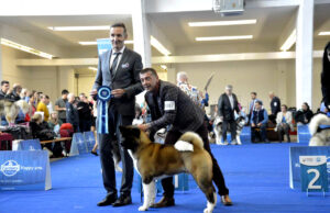 Od skromnog početka do svjetske titule: Đurićev pas „Joker“ proglašen za prvaka svijeta