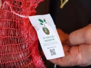 Bosanski krompir postaje brend – pronađen niz dokaza