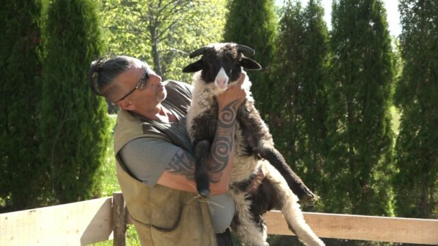 organizator-1024x576