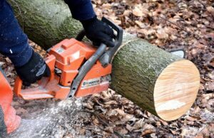 PU Prijedor: Rasvijetljene dvije šumske krađe